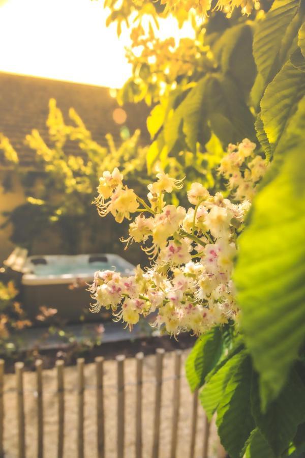 Thénioux Le Petit Nancay Bed & Breakfast エクステリア 写真