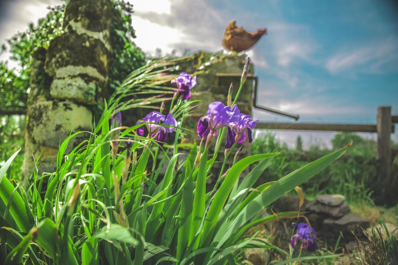 Thénioux Le Petit Nancay Bed & Breakfast エクステリア 写真
