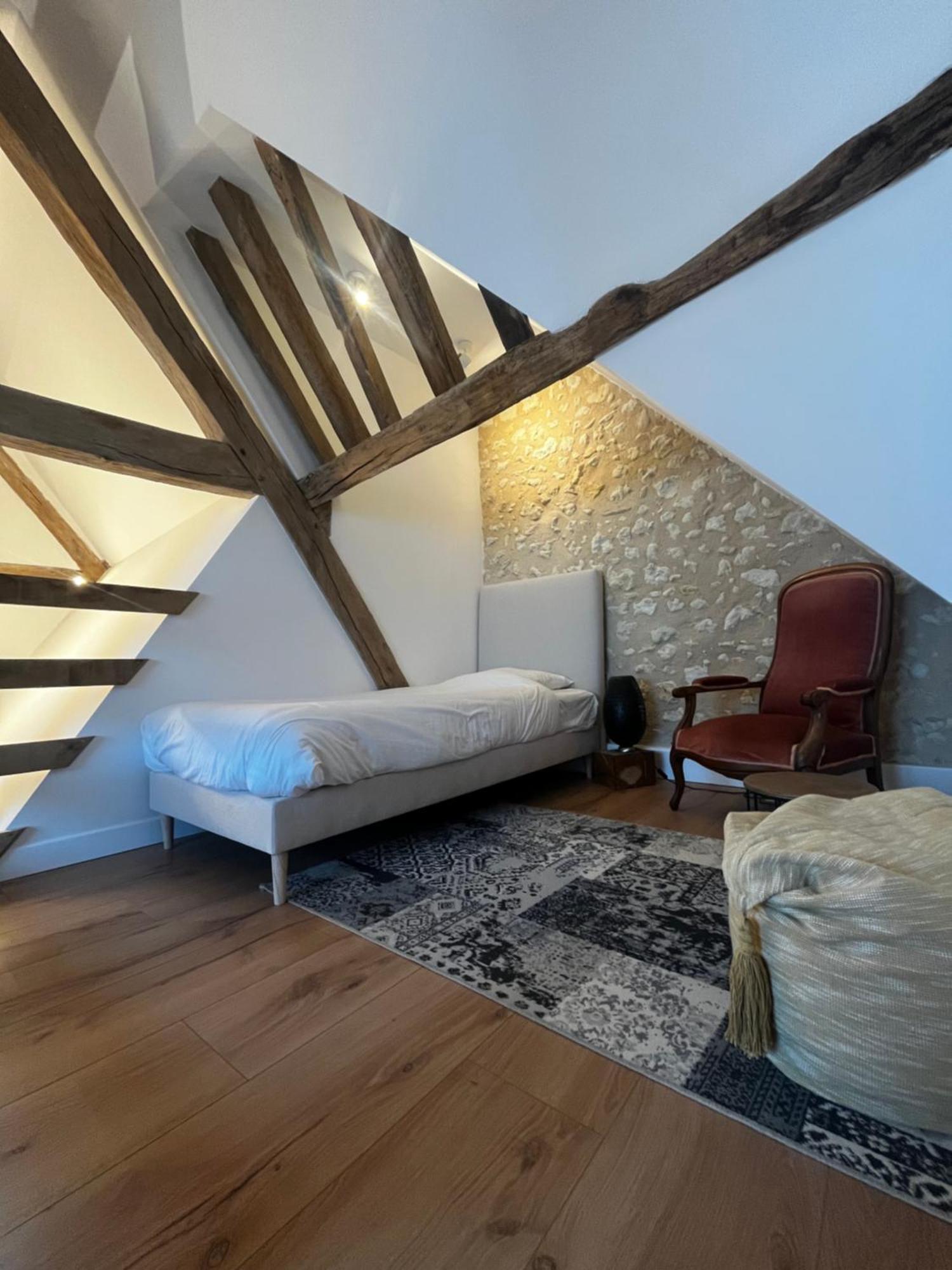 Thénioux Le Petit Nancay Bed & Breakfast エクステリア 写真