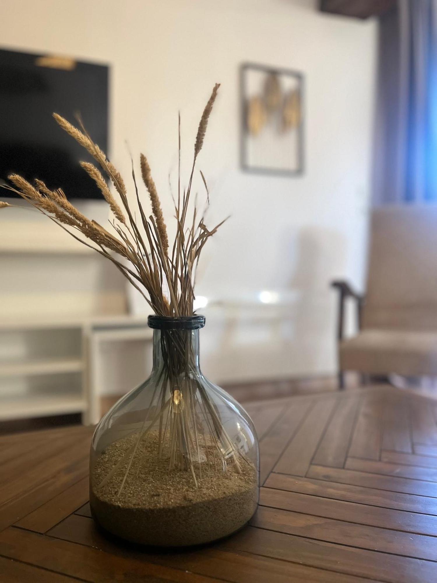 Thénioux Le Petit Nancay Bed & Breakfast エクステリア 写真