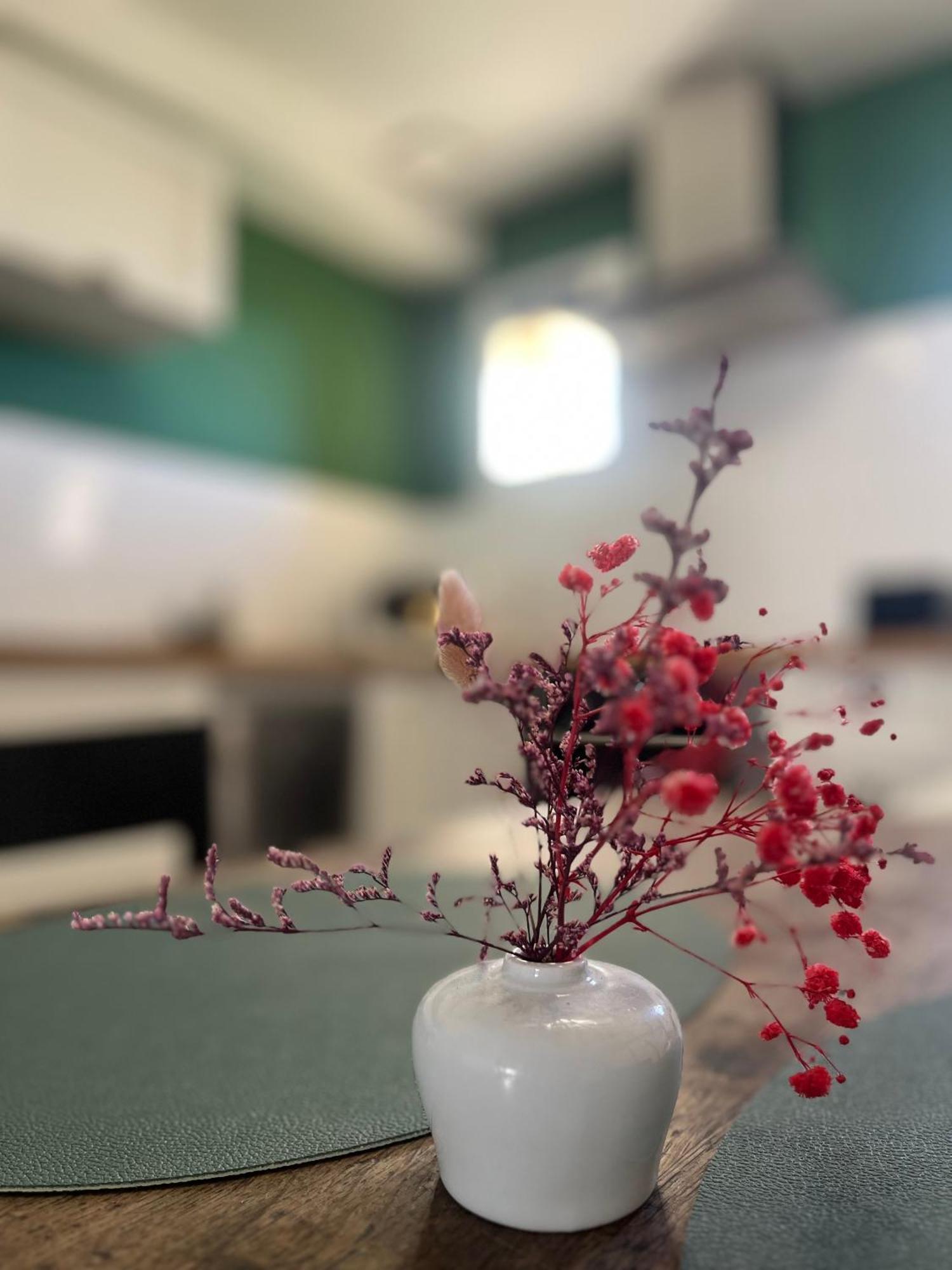 Thénioux Le Petit Nancay Bed & Breakfast エクステリア 写真